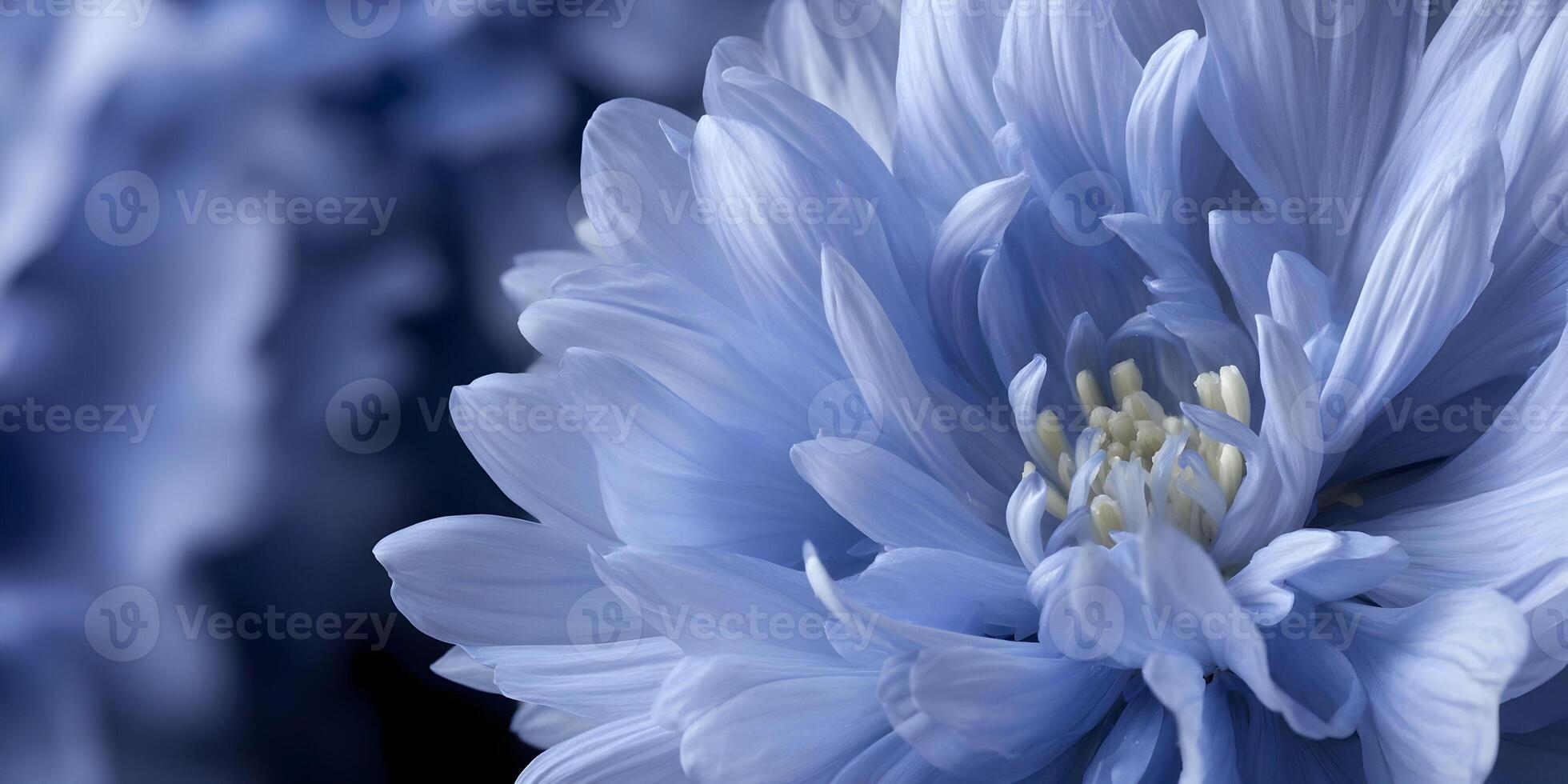 Closeup Light Blue Flower Petals Detailed Macro Photography photo