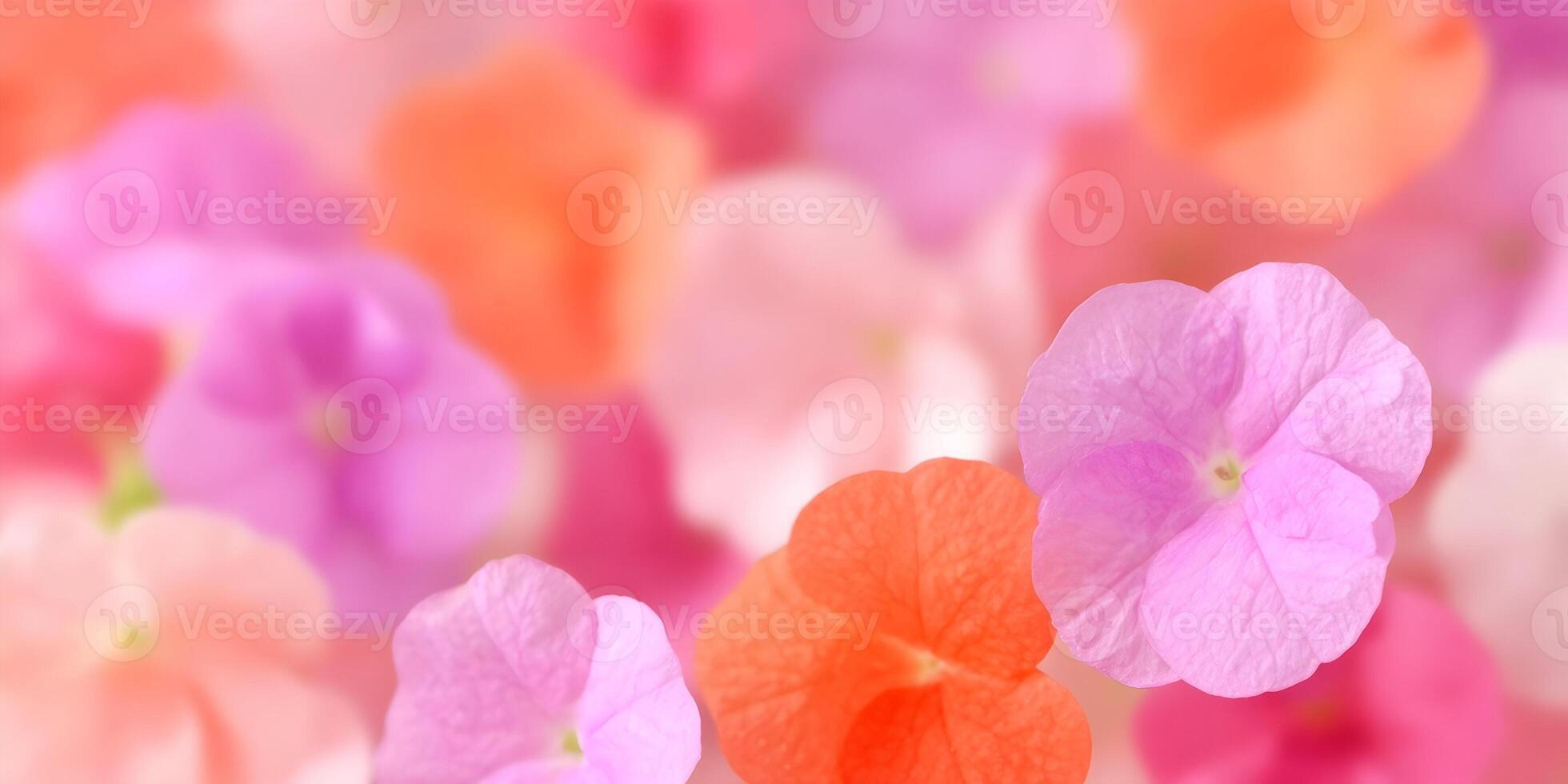 Soft Pink and Orange Flower Petals Background photo