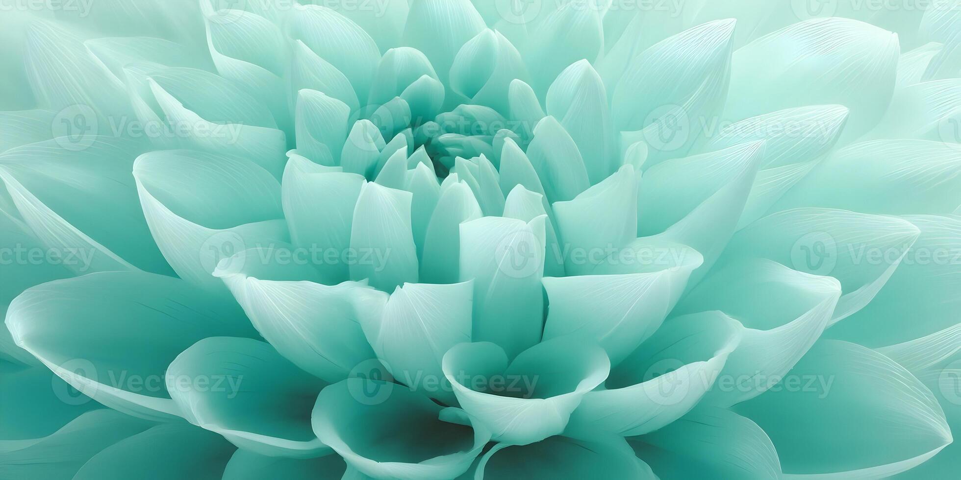 Closeup Aqua Mint Dahlia Flower Petals Soft Texture Floral Background photo