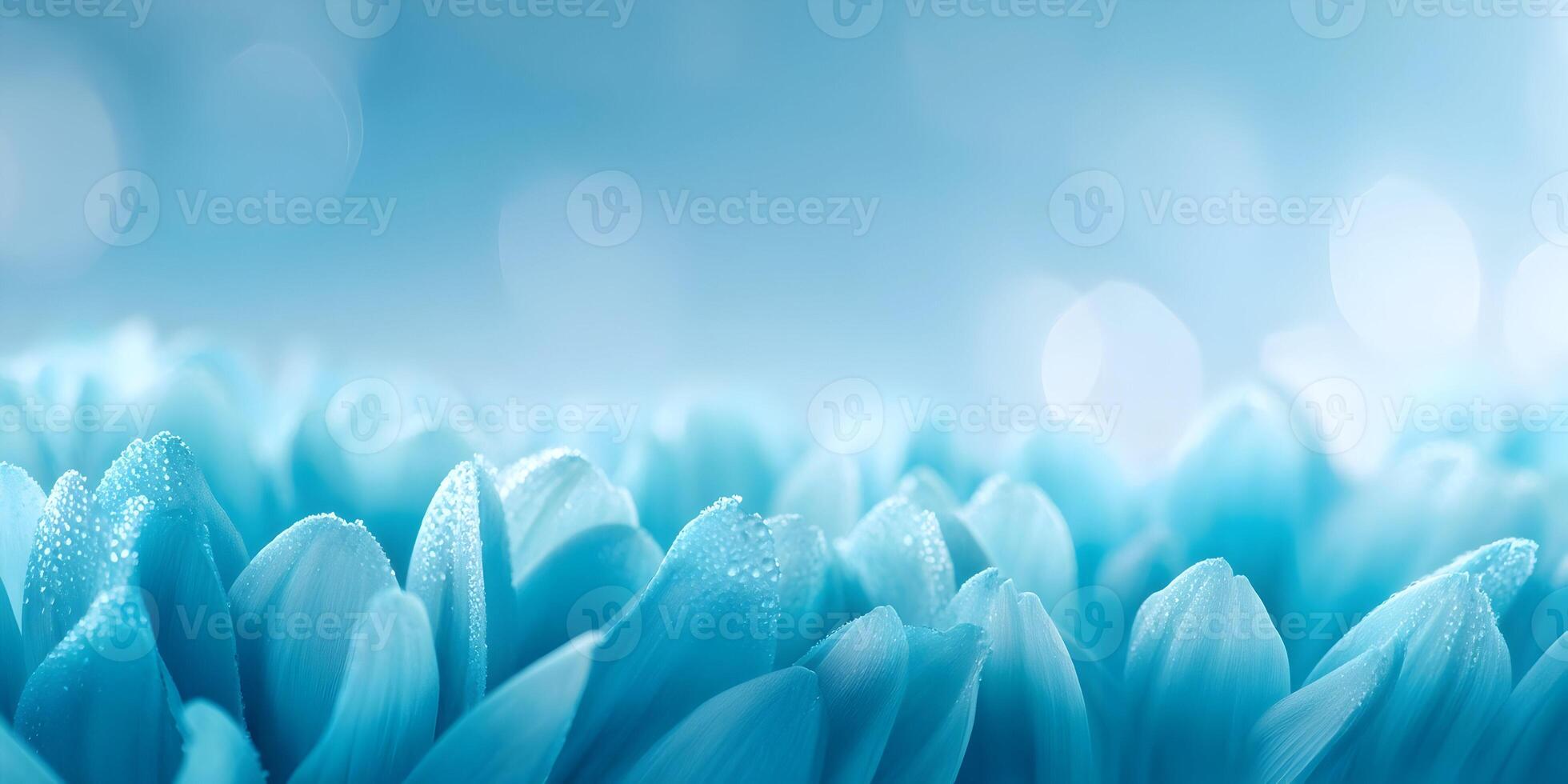 Blue Flower Petals Dew Drops Macro Photography Soft Background photo