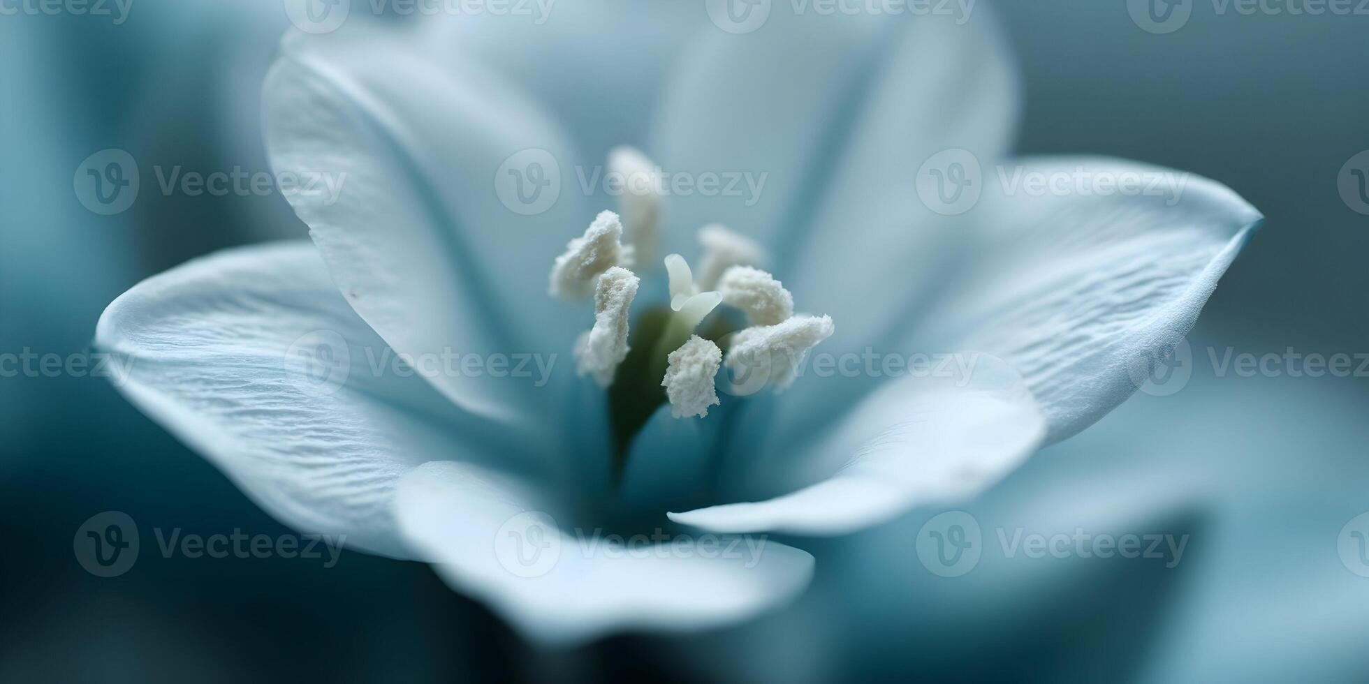 Closeup Light Blue Flower Stamen Petals Macro Photography photo