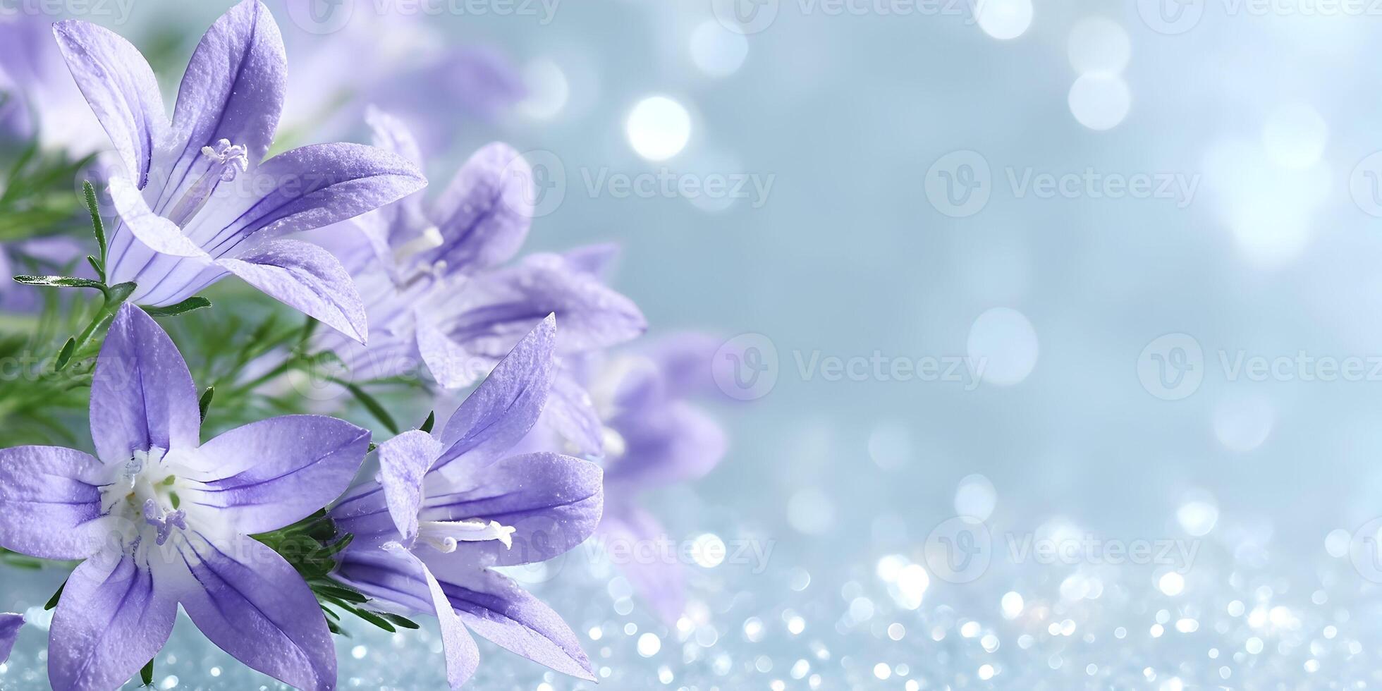 Closeup Purple Campanula Flowers on Sparkling Background photo