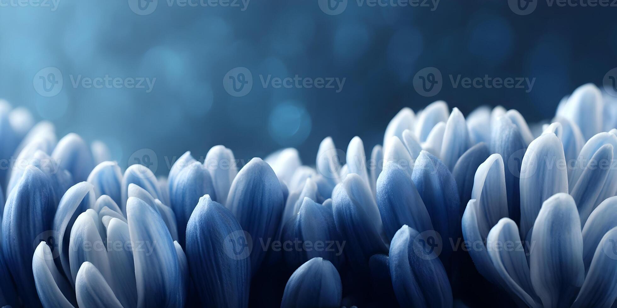 Closeup Blue Flower Petals Soft Bokeh Background photo
