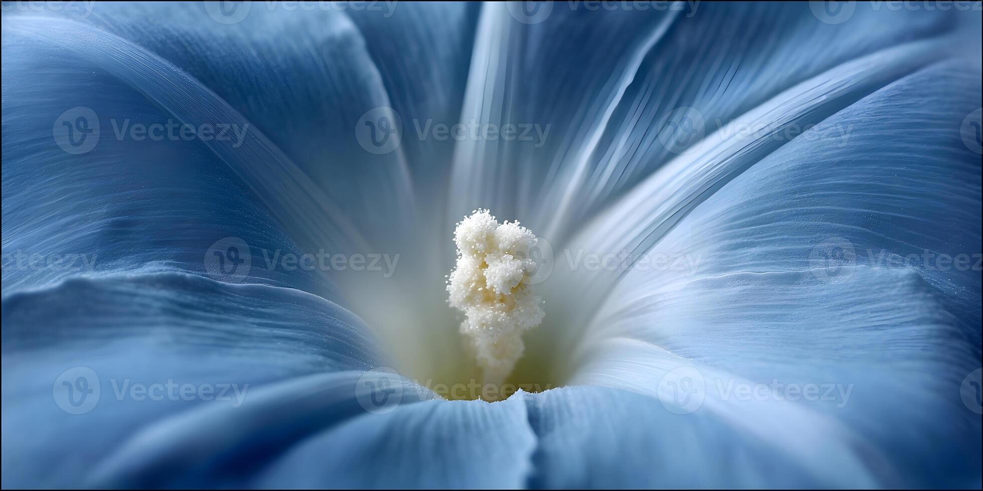 Closeup Blue Flower Petals and Stamen Detailed Macro Shot photo