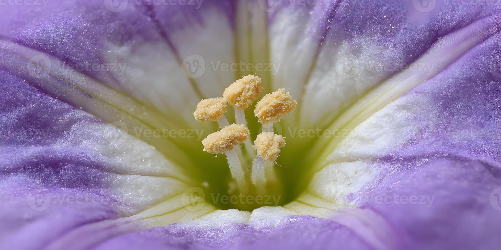 Closeup Purple Flower Macro Photography Petals Stamens Pistil Detailed Bloom photo