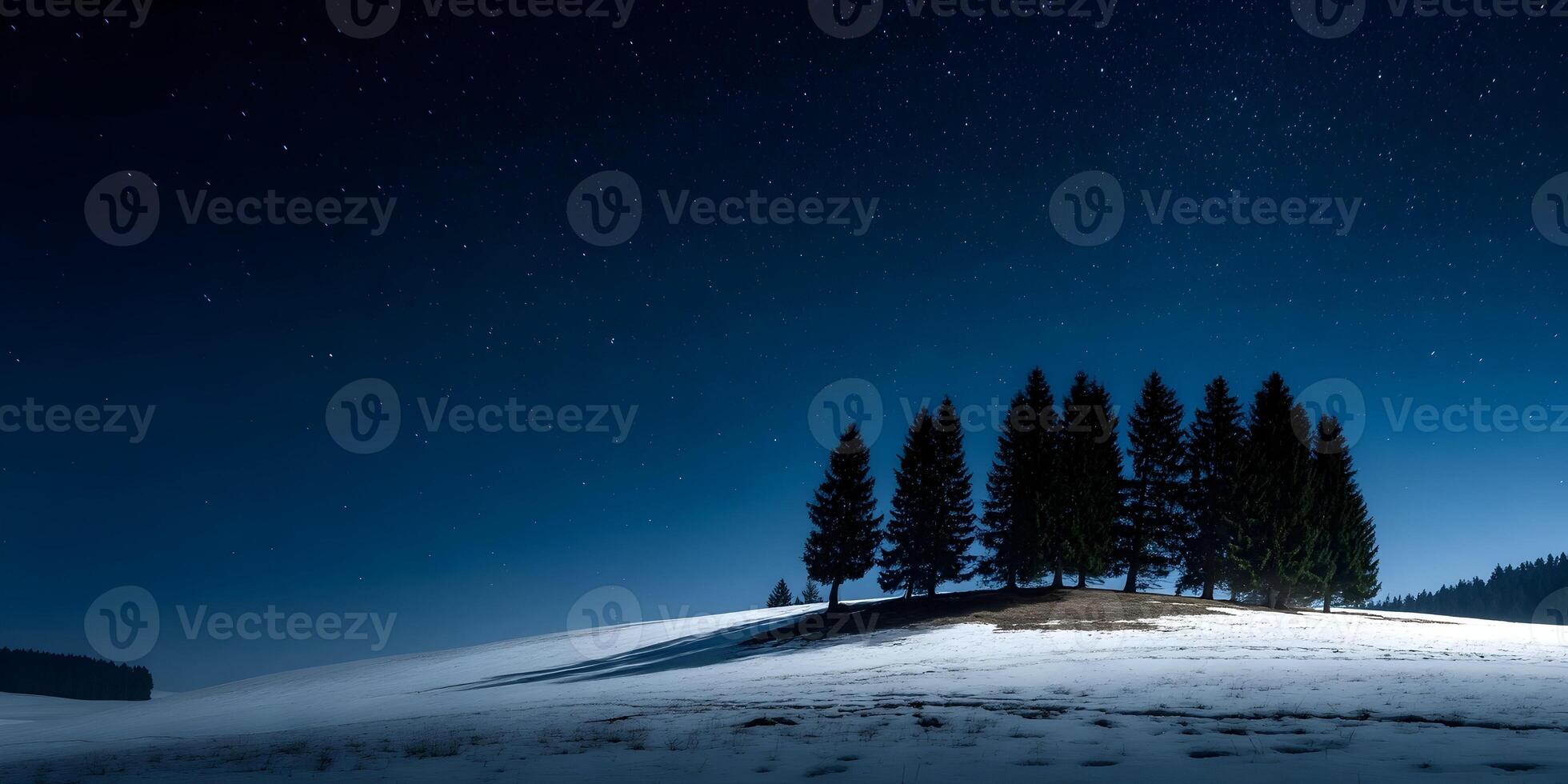 Snowy Hilltop Pine Trees Night Sky Stars Landscape photo
