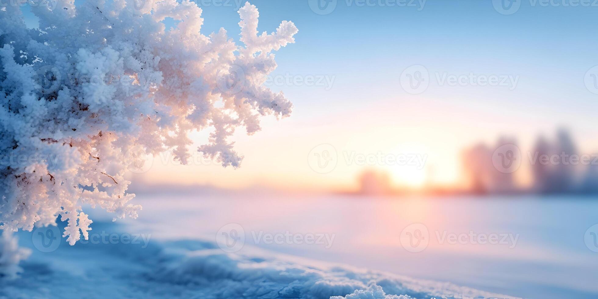 Frozen Tree Branch Winter Sunrise Landscape Snow Crystals photo