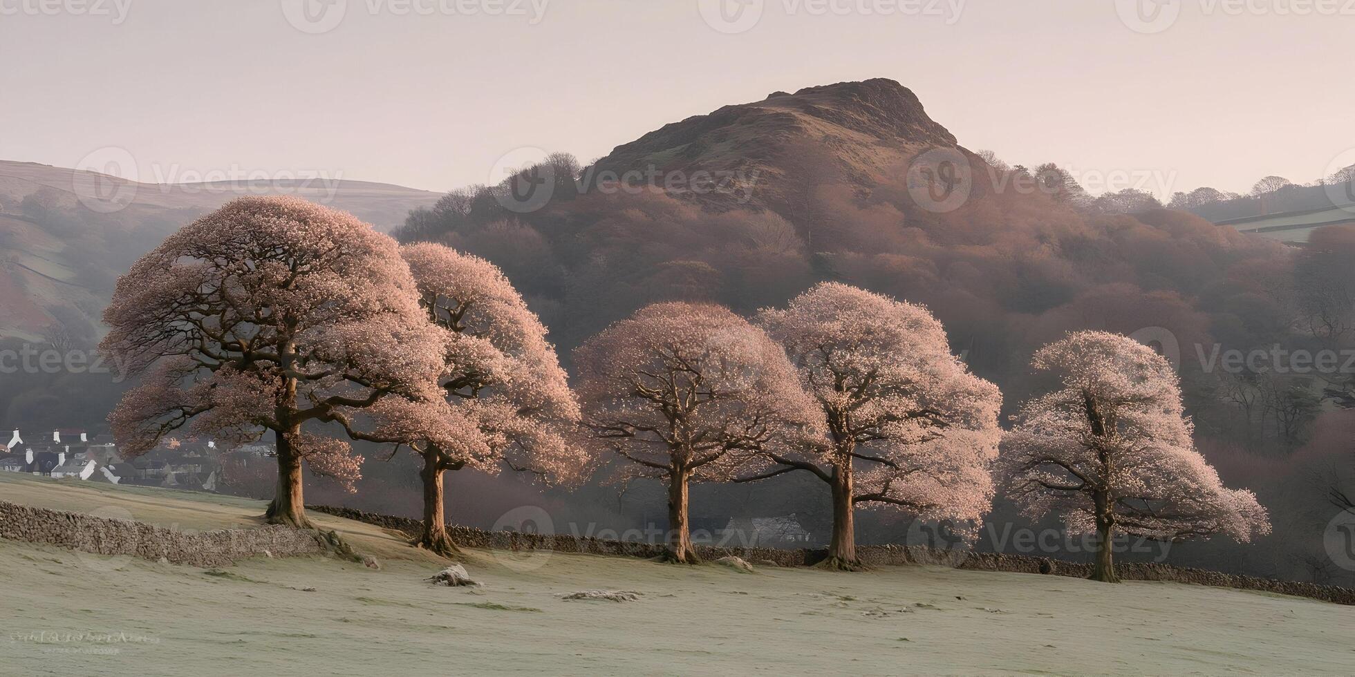 Pink Blossom Trees Hillside Landscape Dawn Scenery photo