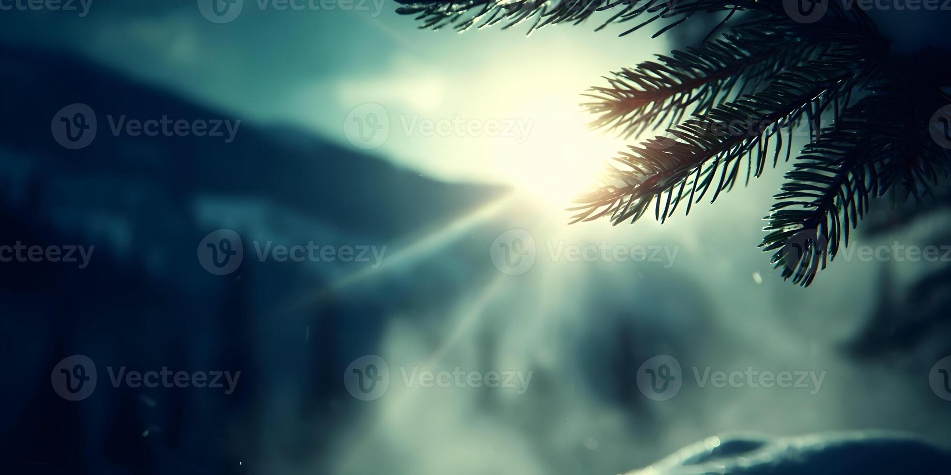 Winter Sun Shining Through Pine Branch Snowy Mountain Background photo