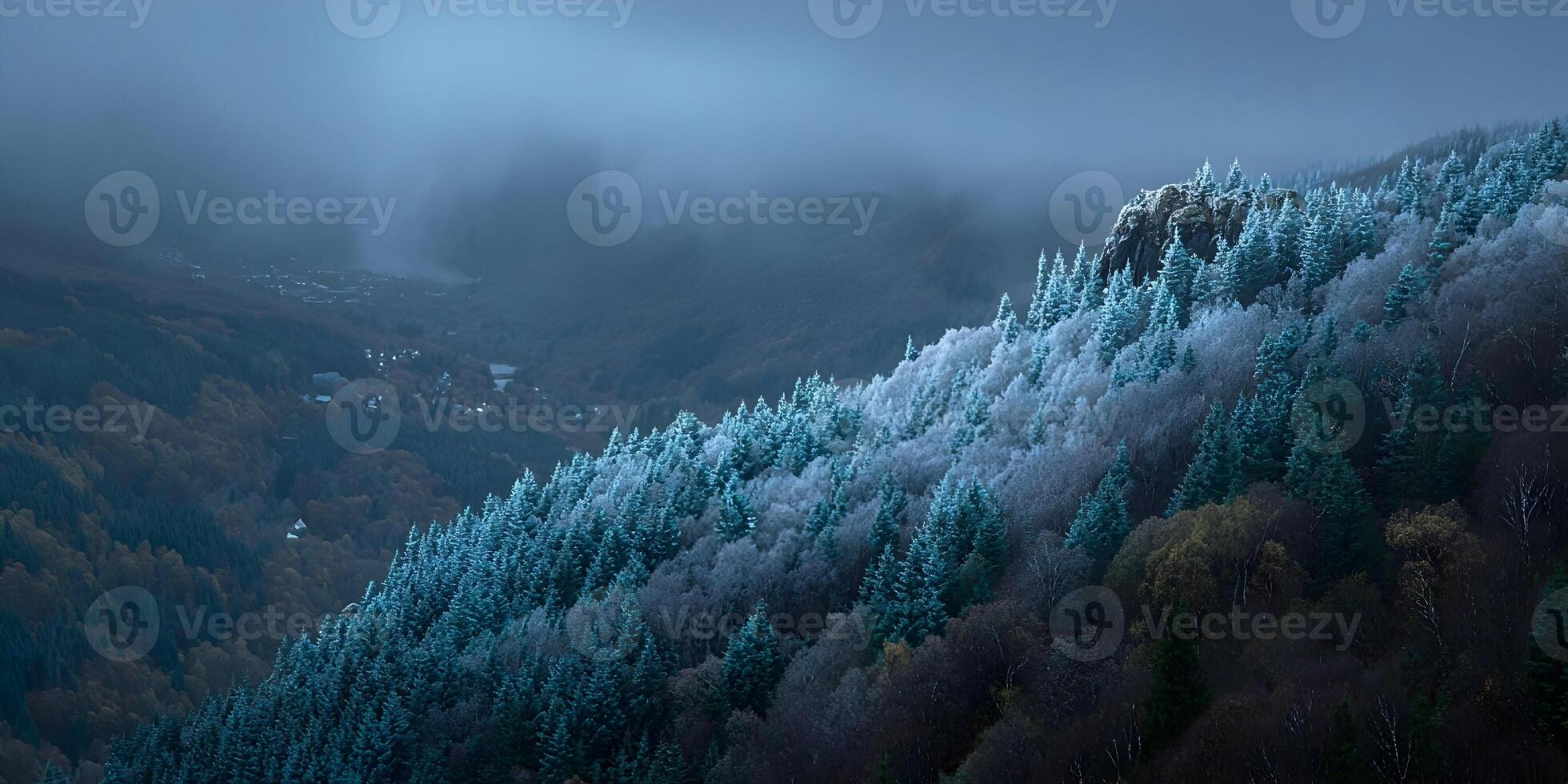 Misty Mountain Forest Winter Landscape Frosty Trees photo