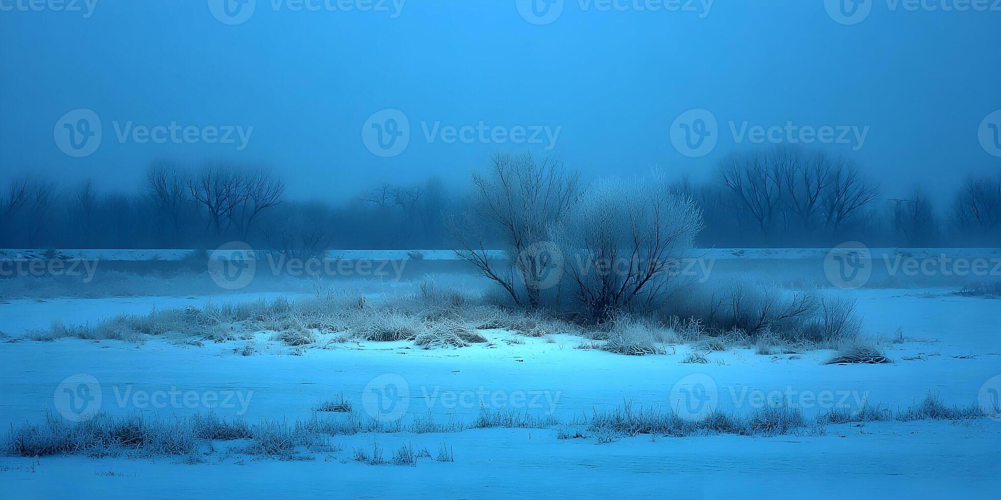 Winter Landscape Frosty Trees Snow Covered Field Blue Sky photo