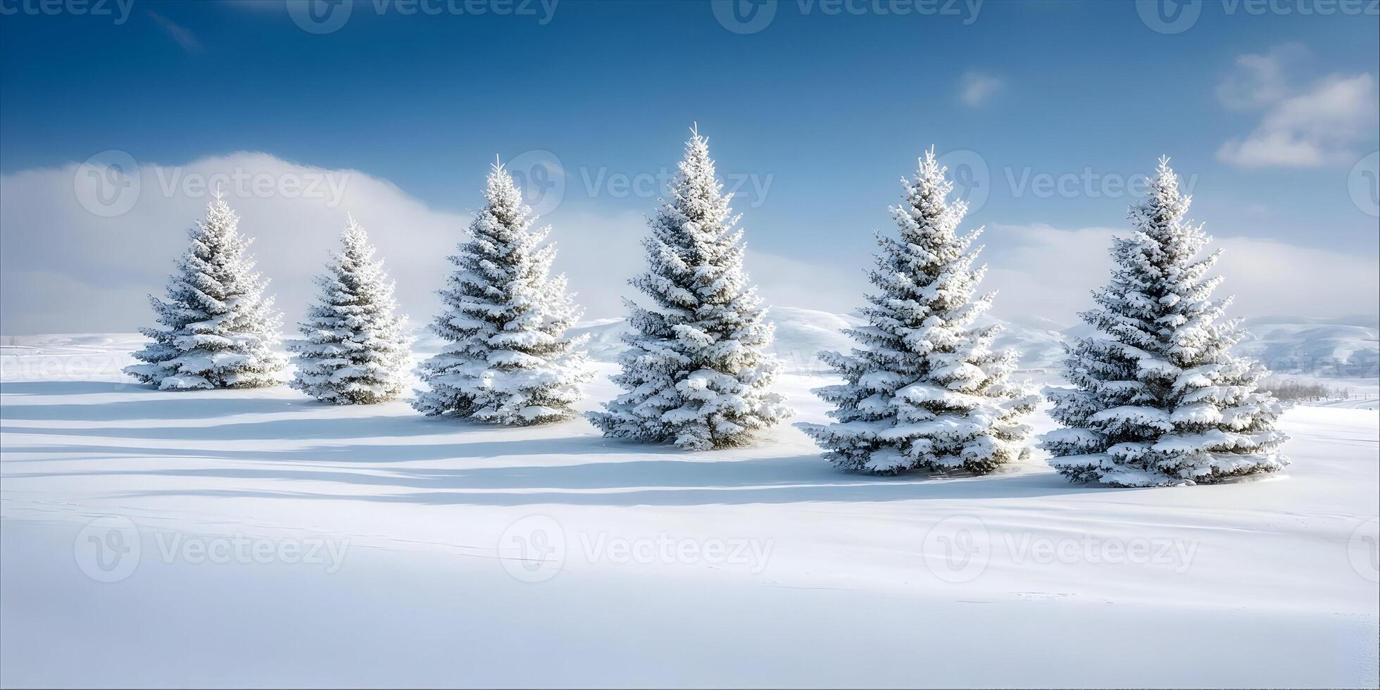 Five SnowCovered Pine Trees Winter Landscape Snowy Field Blue Sky photo
