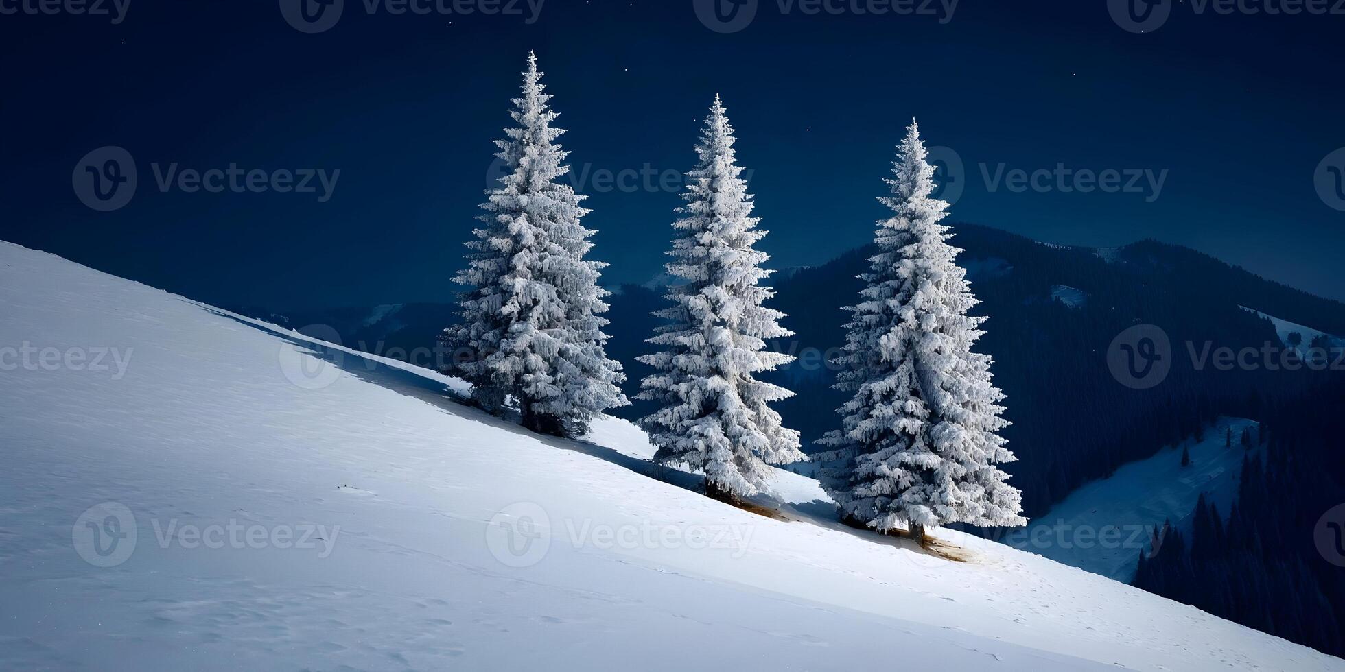 Three SnowCovered Fir Trees on Snowy Mountain at Night photo