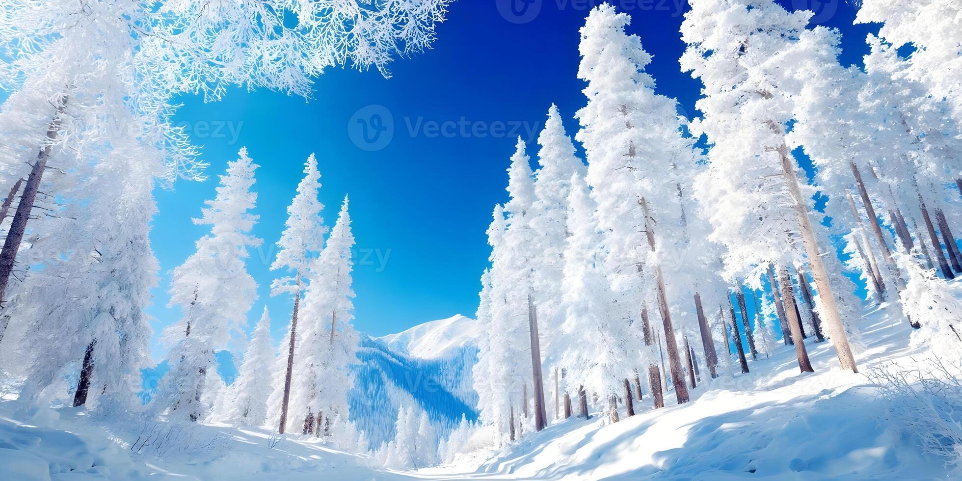 Snow Covered Pine Trees Winter Forest Landscape Bright Sunny Day photo