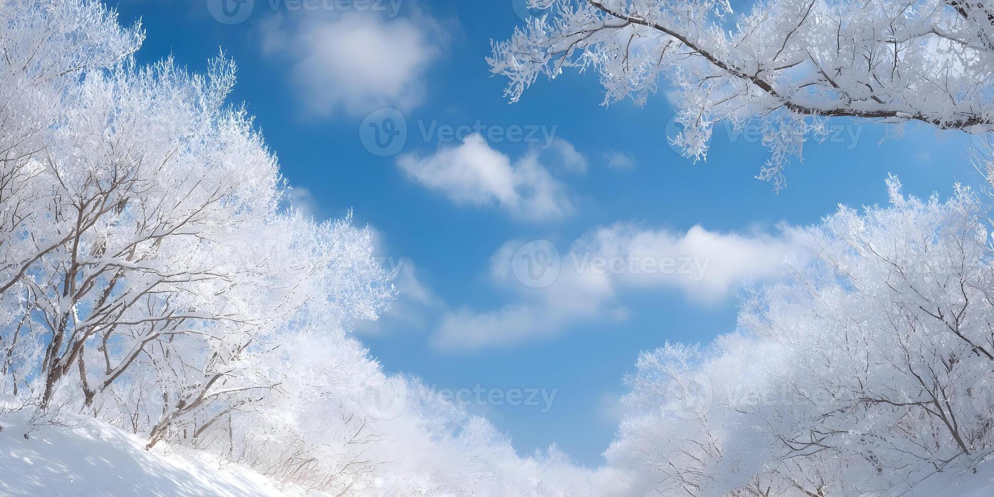 Snowy Trees Winter Landscape Frosty Branches Blue Sky photo