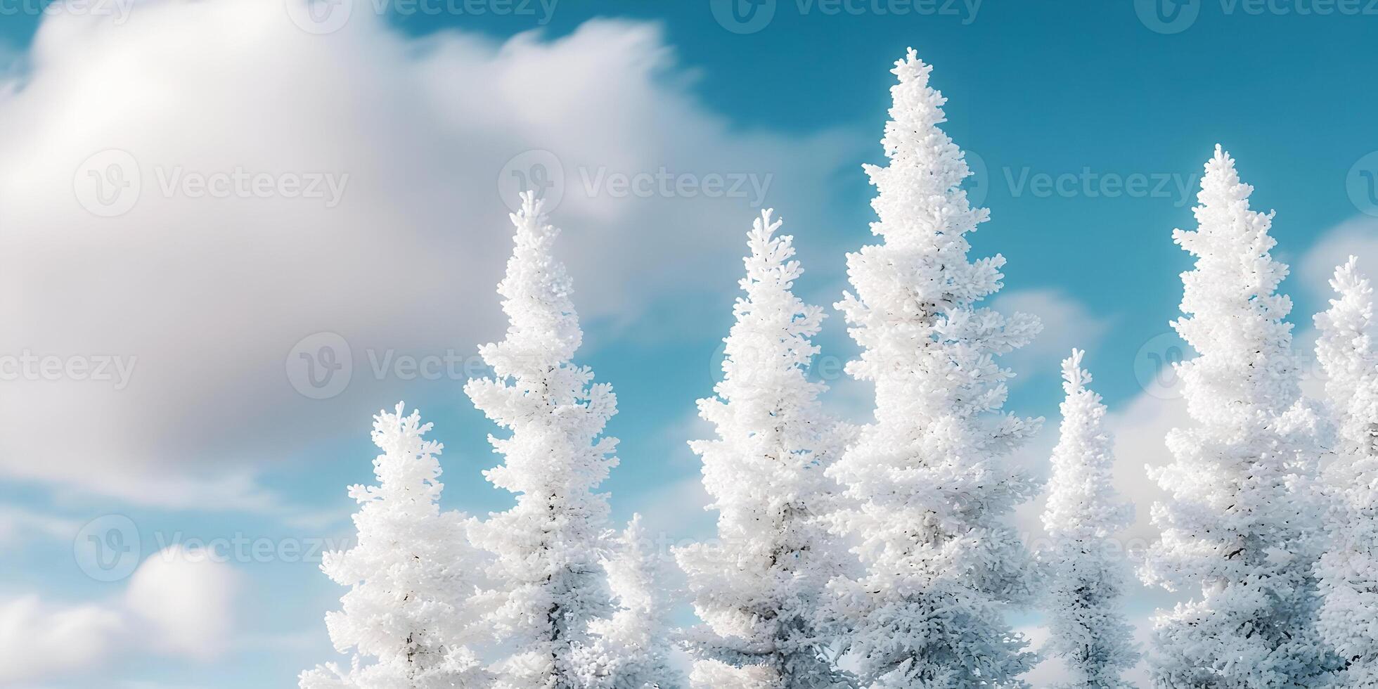 Snowy Winter Landscape Four White Fir Trees Blue Sky photo