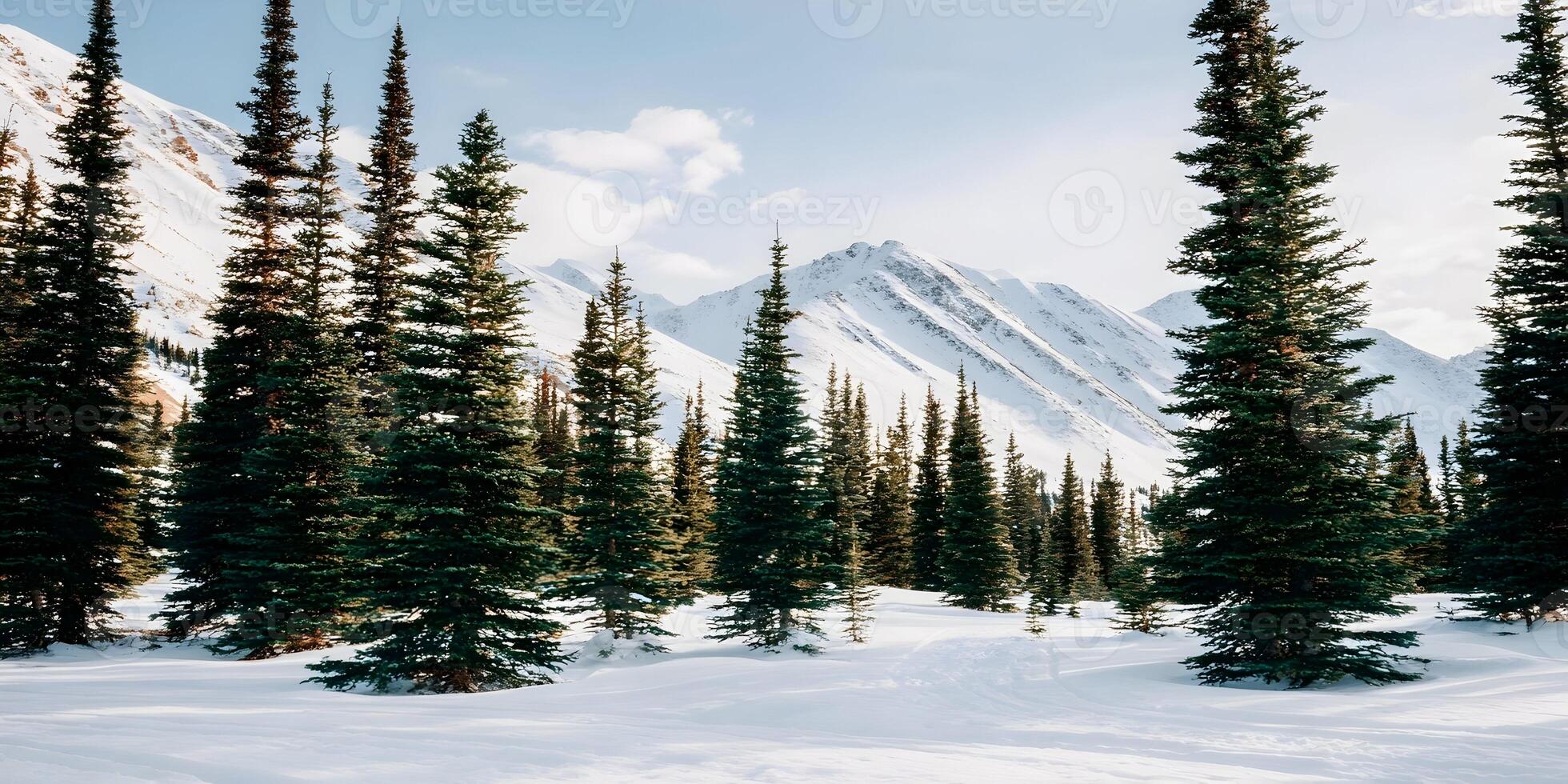 Snowy Mountain Landscape with Evergreen Trees Winter Scene photo