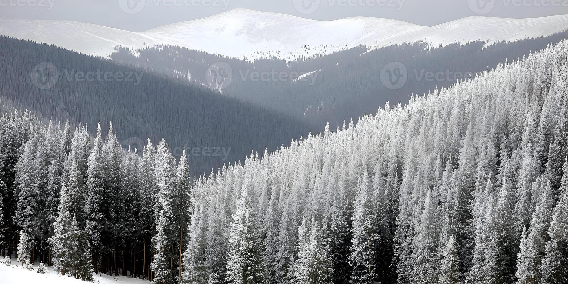 Snow Covered Mountains and Evergreen Trees Winter Landscape photo