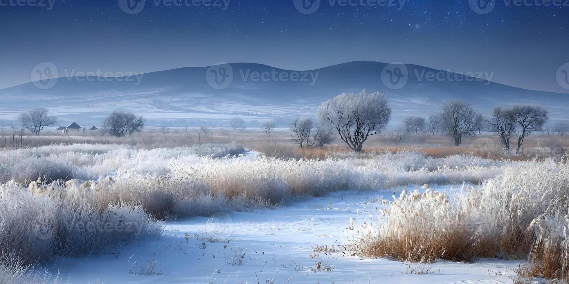 Winter Landscape Frosty Field Snow Covered Plants Blue Hour Mountains Starry Night photo