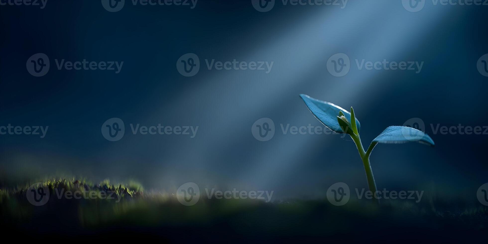 Single Sprout Emerging from Dark Soil Illuminated by Light Beam photo