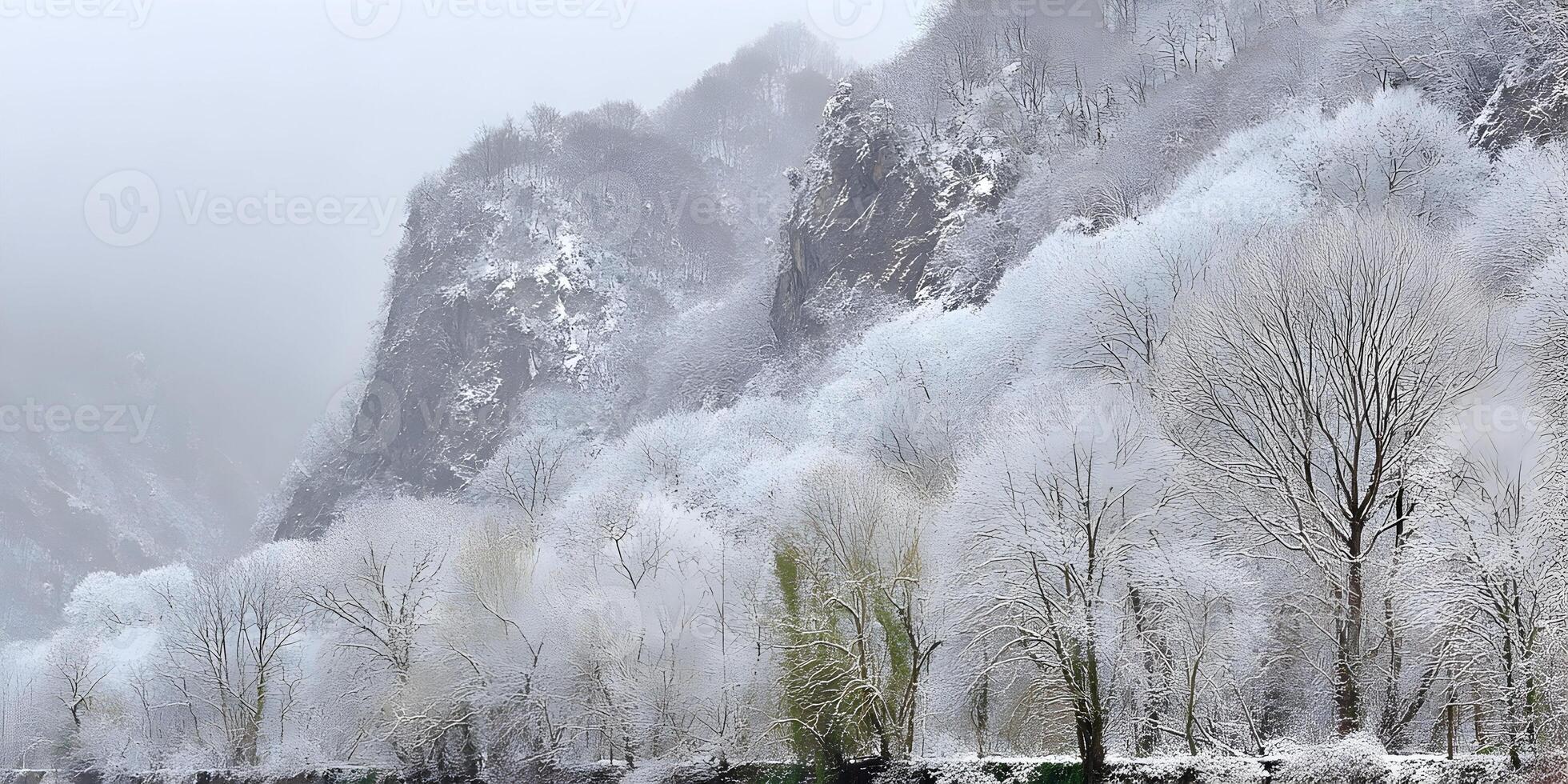 Snowy Landscape Winter Scene Trees Covered in Snow Rocky Mountain Background photo