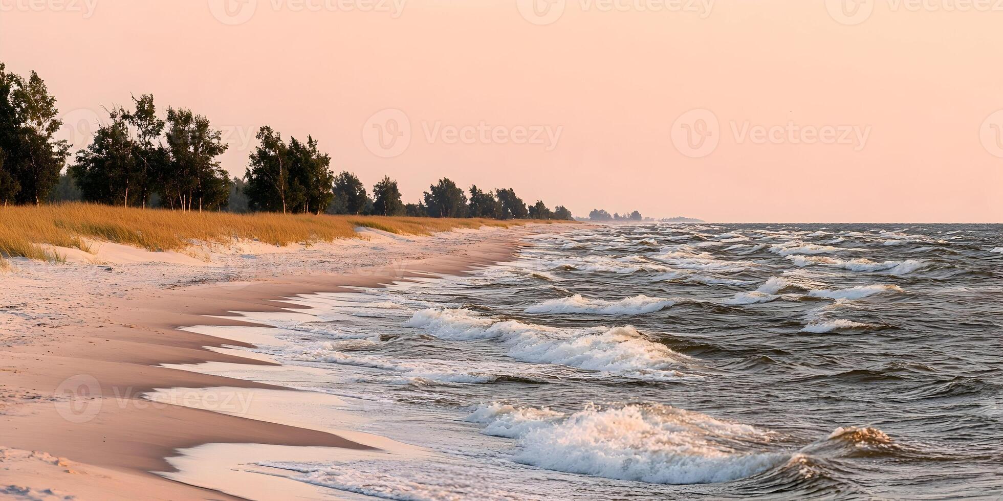 Sandy Beach Coastline with Waves and Trees at Sunset Calm Ocean Scenery photo