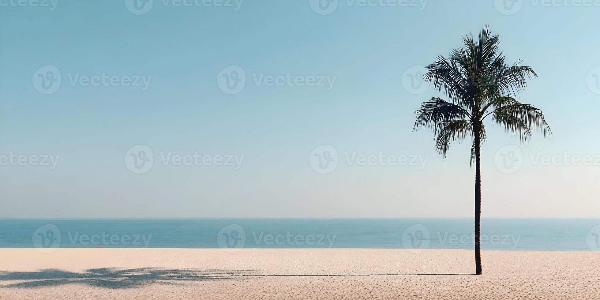 Single Palm Tree on Sandy Beach Ocean View Minimalist Summer Seascape photo