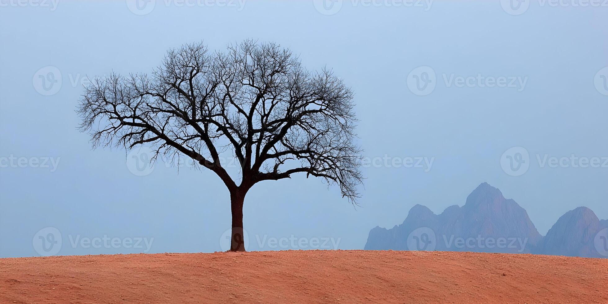 Bare Tree on Red Hill with Mountain Background Landscape Image photo