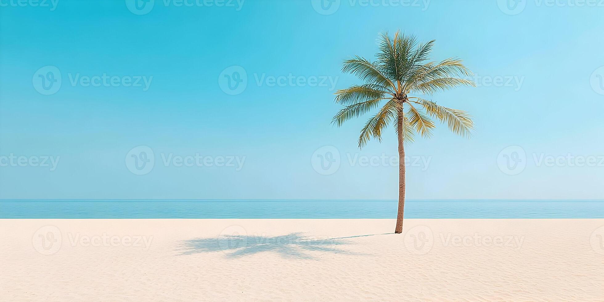Single Palm Tree on Sandy Beach Ocean Summer Vacation Tropical Paradise photo