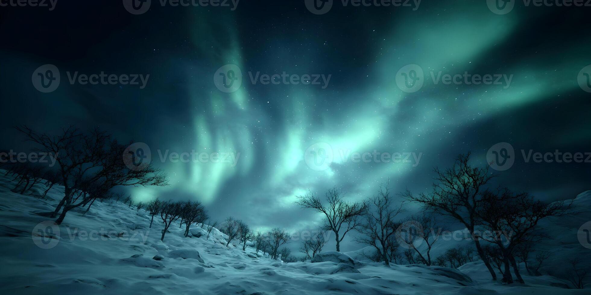 Northern Lights Aurora Borealis Winter Night Snowy Landscape photo