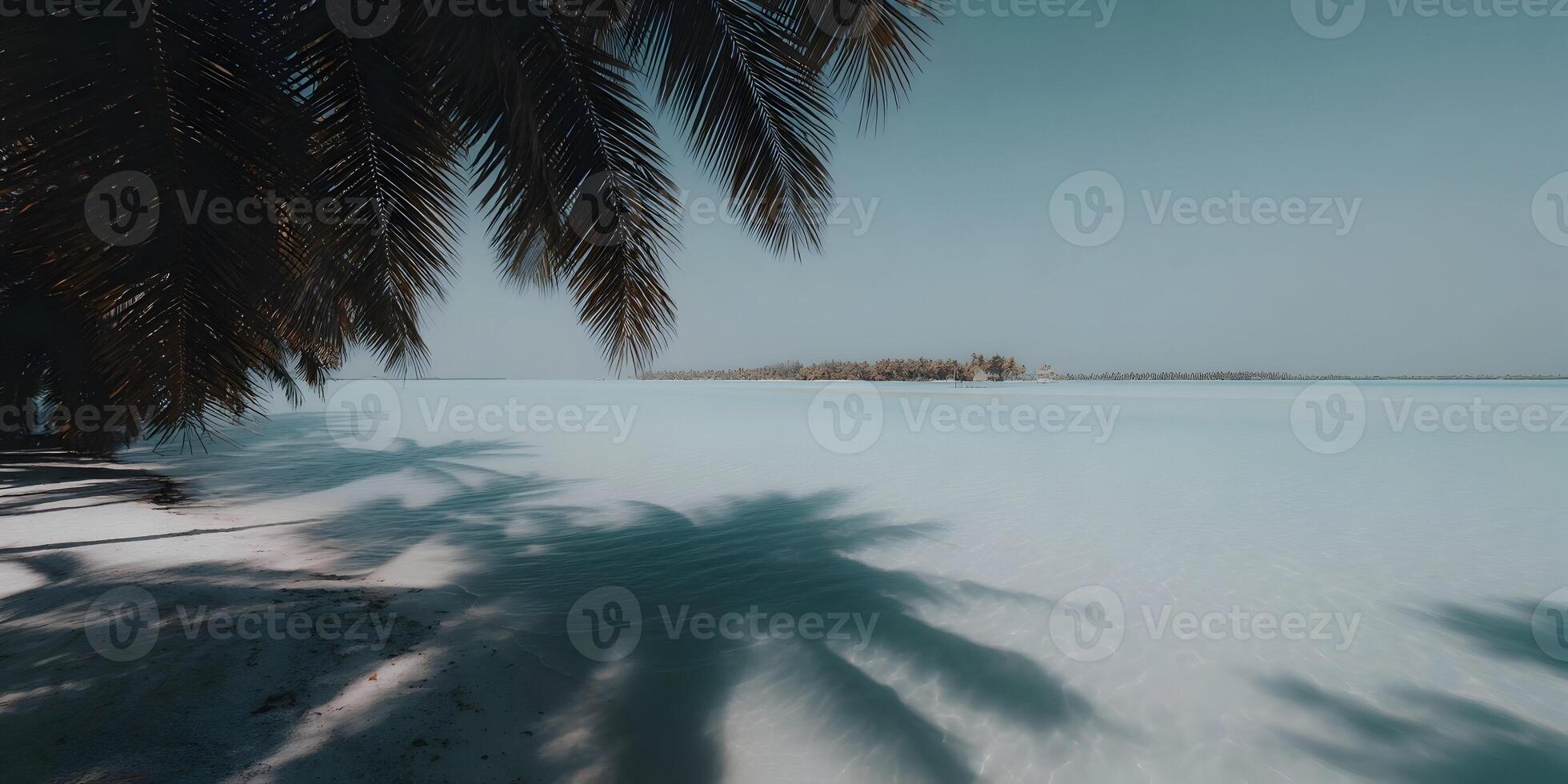 Tropical Beach Idyllic Island Scene Palm Tree Shadows Calm Ocean Water photo