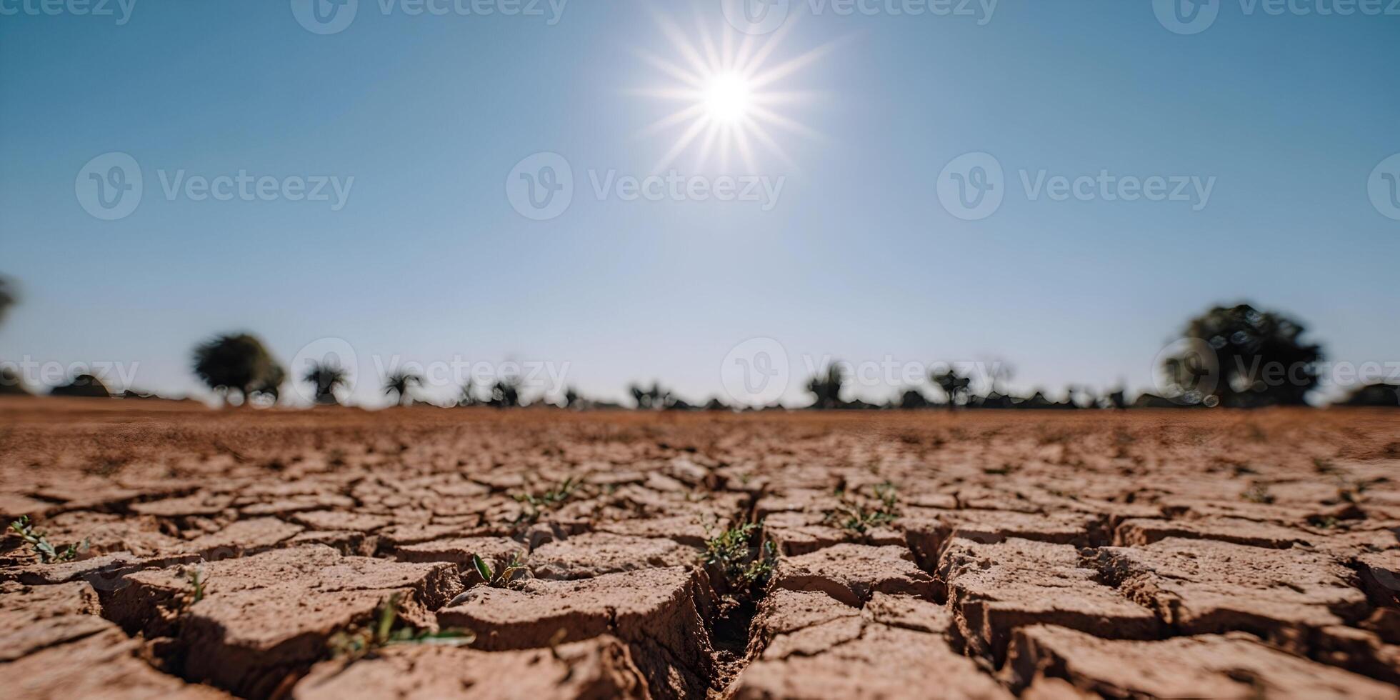 Dry Cracked Earth Ground Soil Drought Sun photo