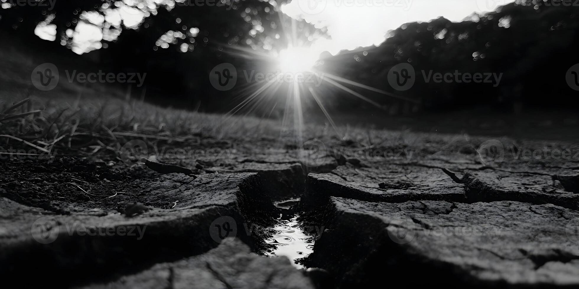 Black and White Sunburst Over Dry Cracked Earth Ground photo