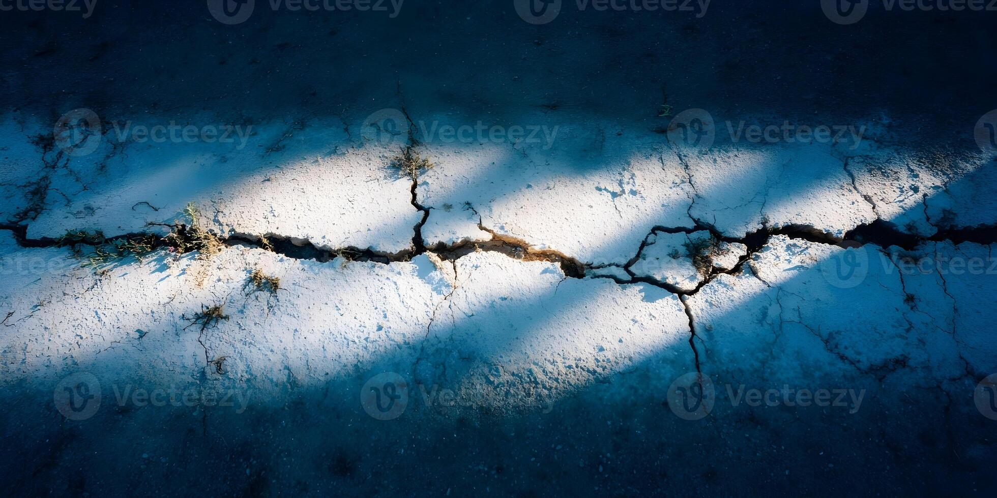 Cracked Ground Surface with Plants Growing Through Fissures in Sunlight Shadows photo