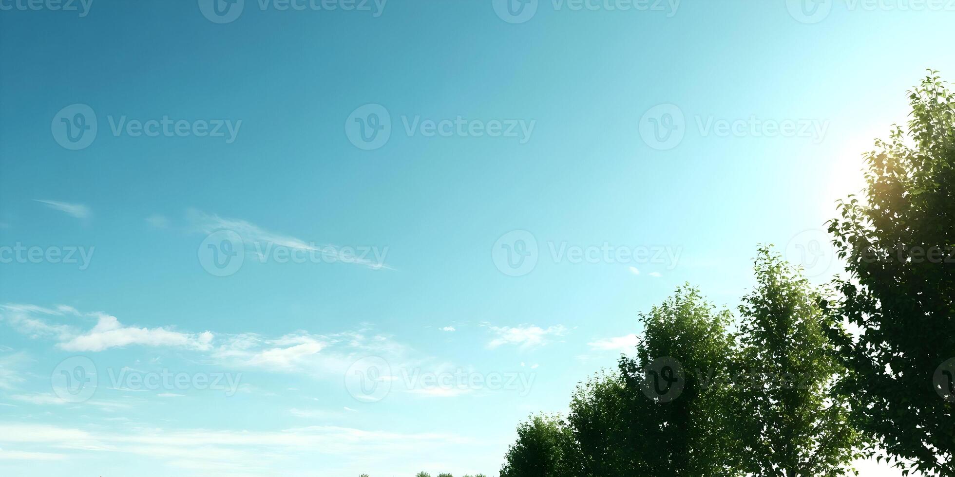 Sunny Sky Green Trees Nature Landscape Bright Daytime Scenery photo