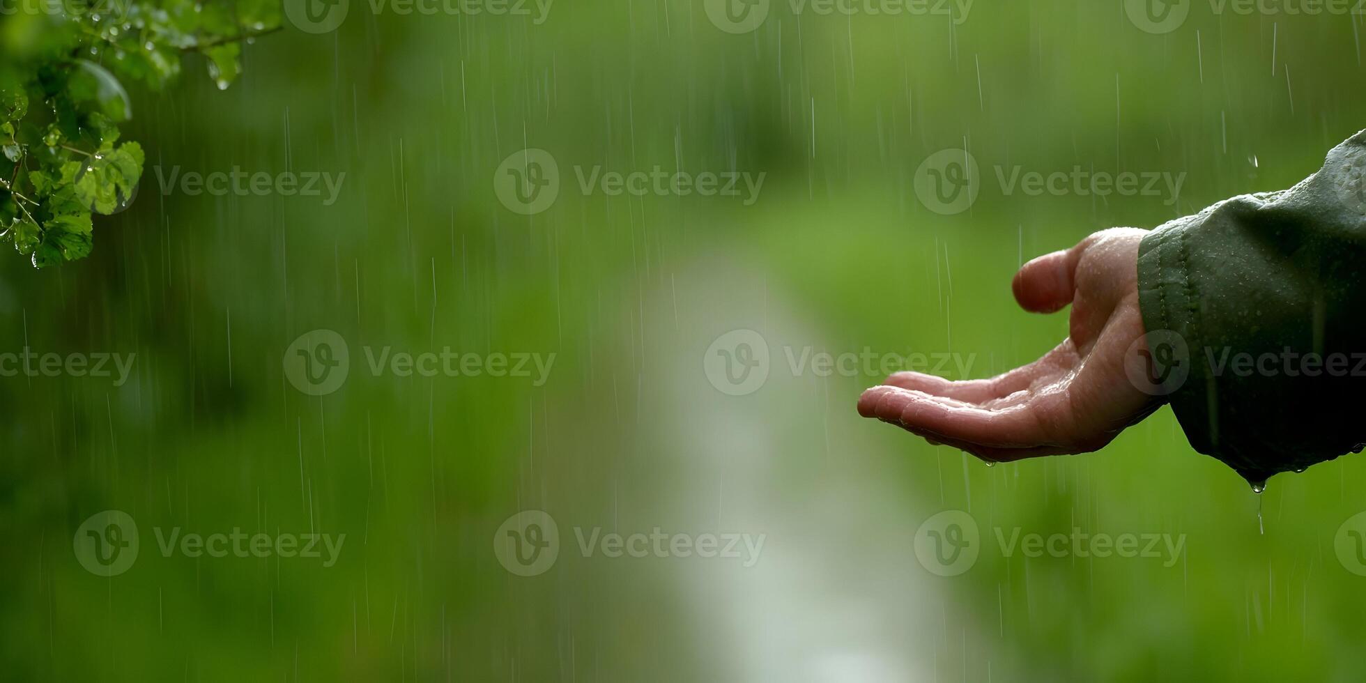 Hand Catching Rain Nature Green Background photo