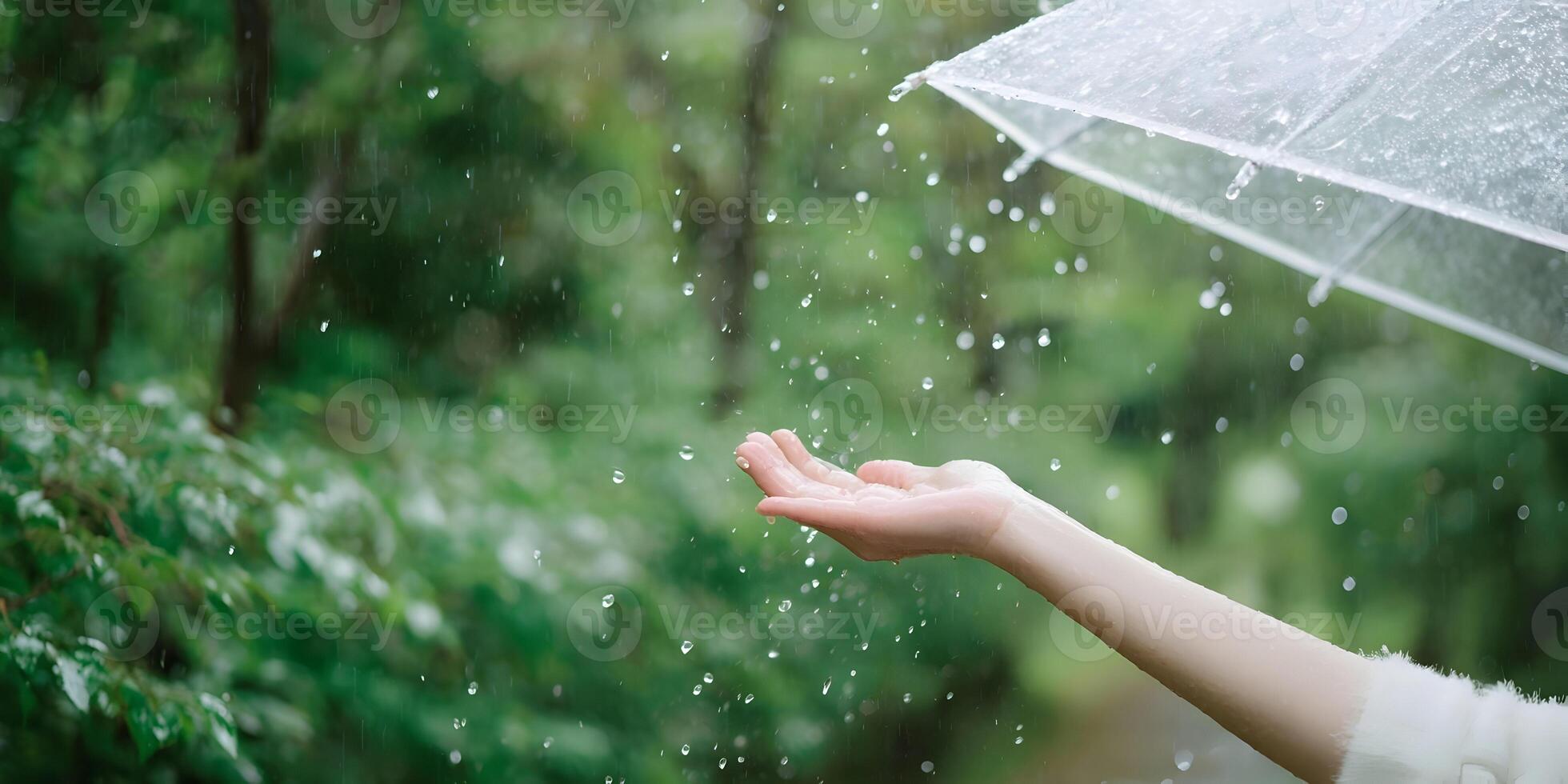 Woman Hand Catching Rain Drops Under Transparent Umbrella Green Nature Background photo