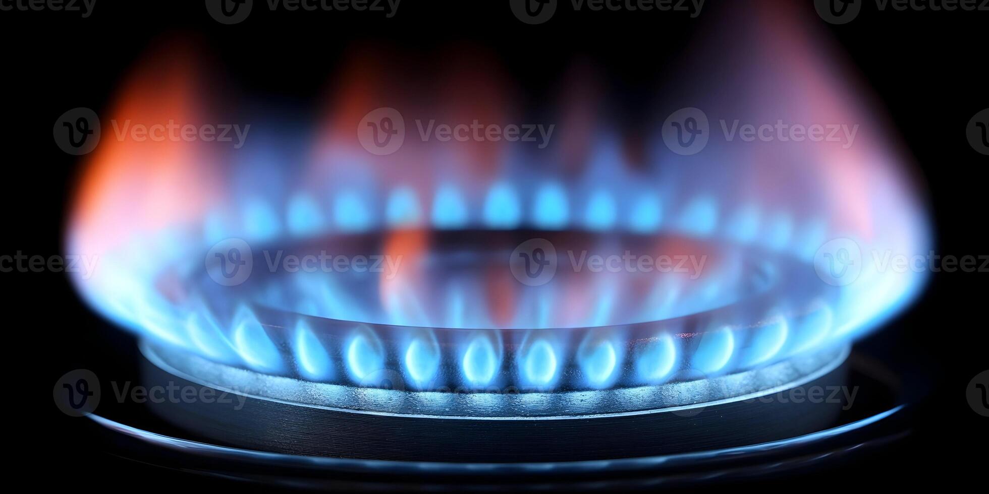 Closeup Blue Gas Stove Burner Flame Cooking Energy photo
