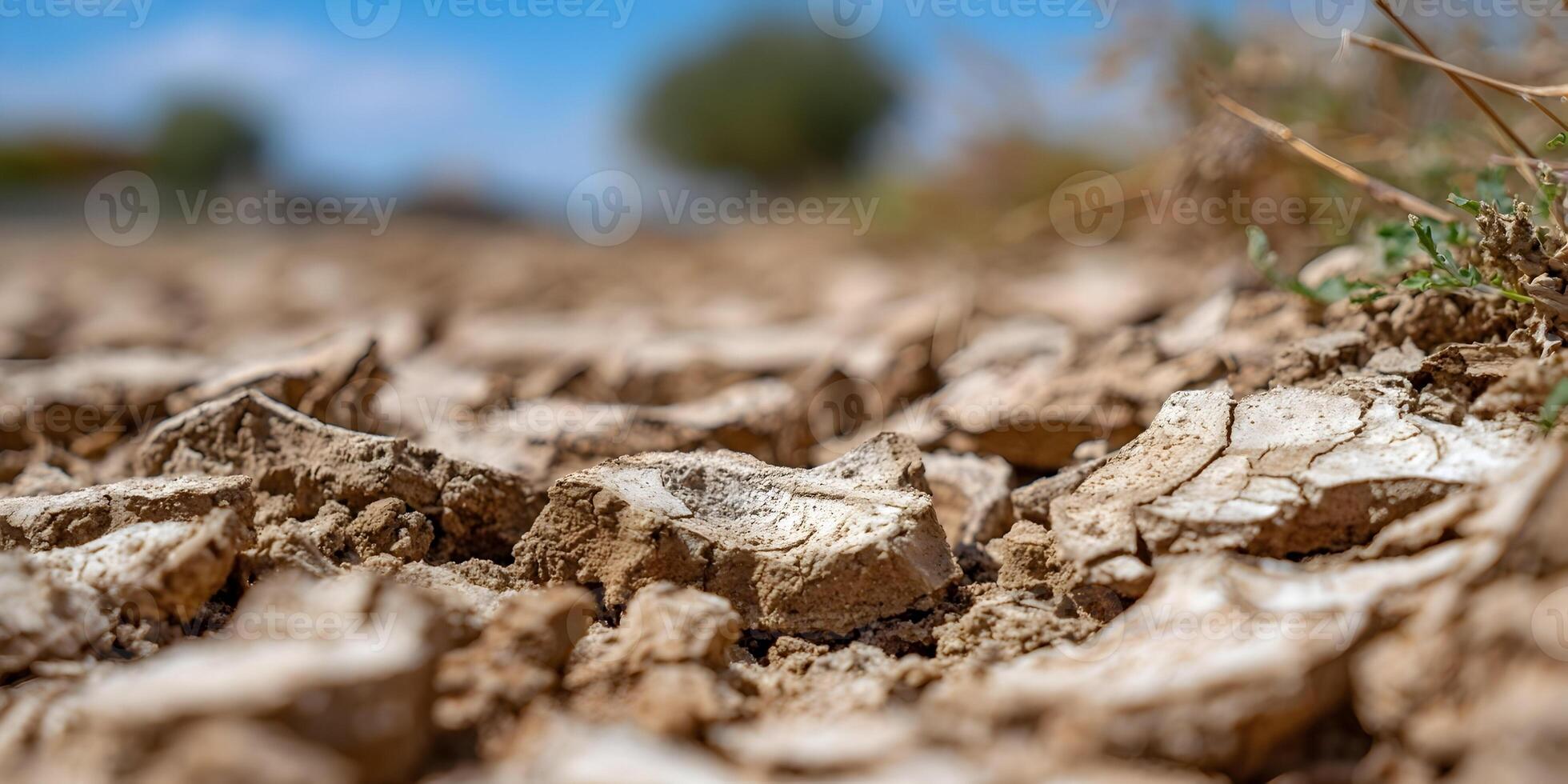 Closeup Dry Cracked Earth Ground Soil Texture Detail photo
