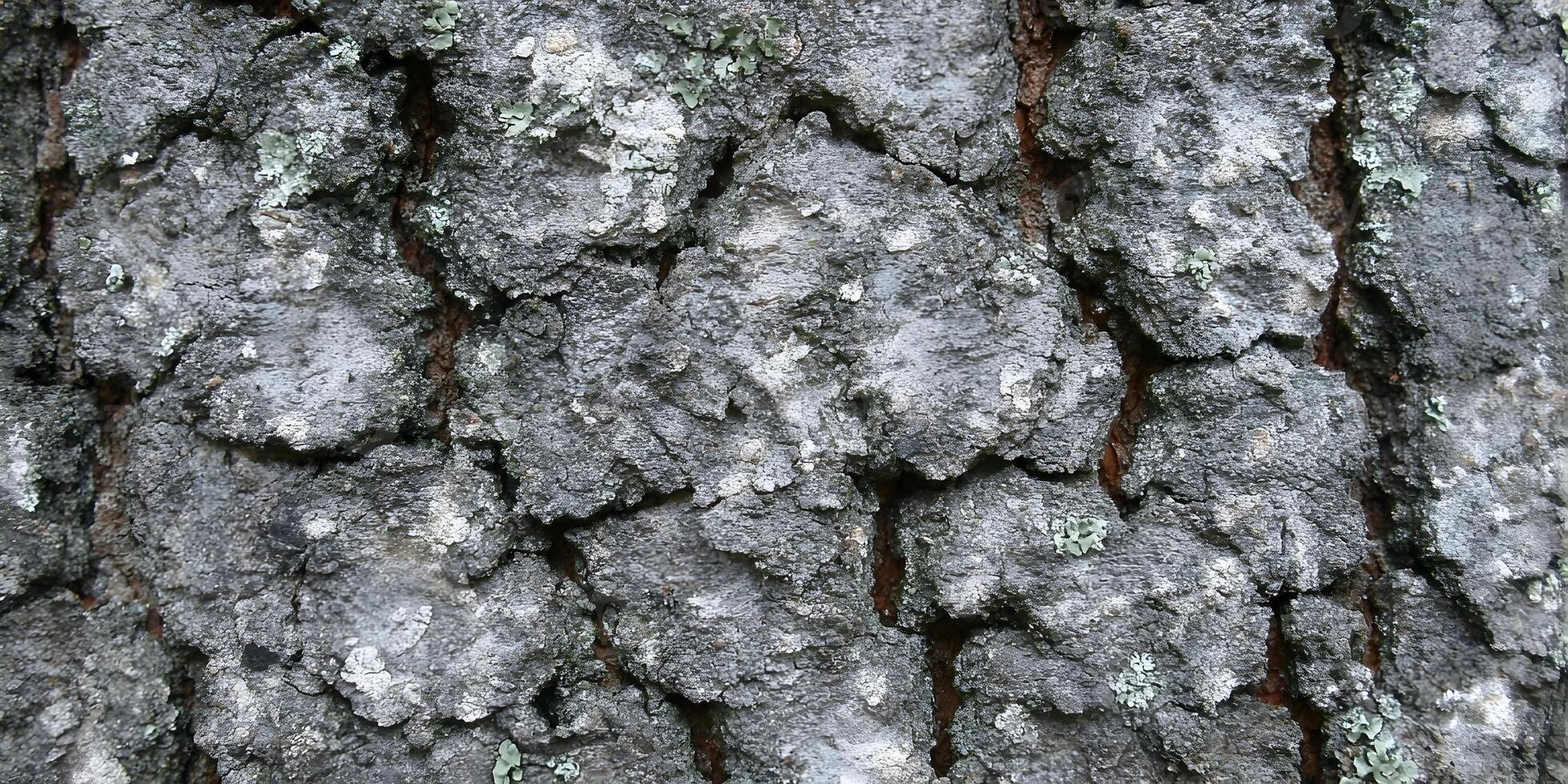 Detailed Gray Tree Bark Texture Closeup Rough Surface Grey Brown Cracked Wooden Background photo