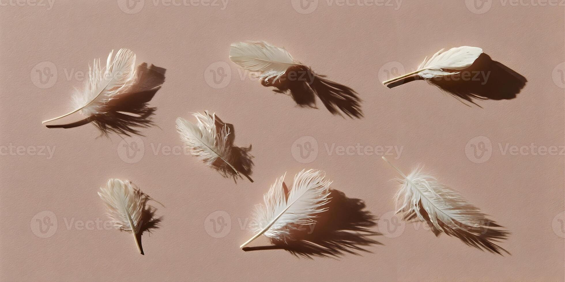 Seven White Feathers on Beige Background Soft Light Shadows Minimalist Photography photo