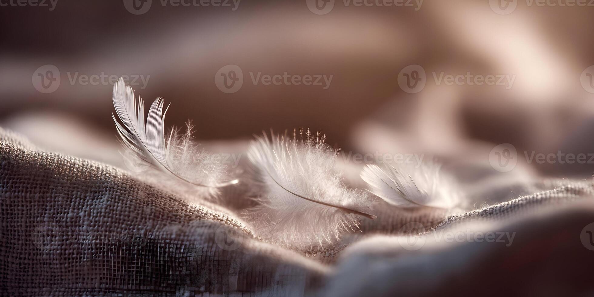Three Delicate White Feathers on Brown Linen Fabric Soft Light Photography photo