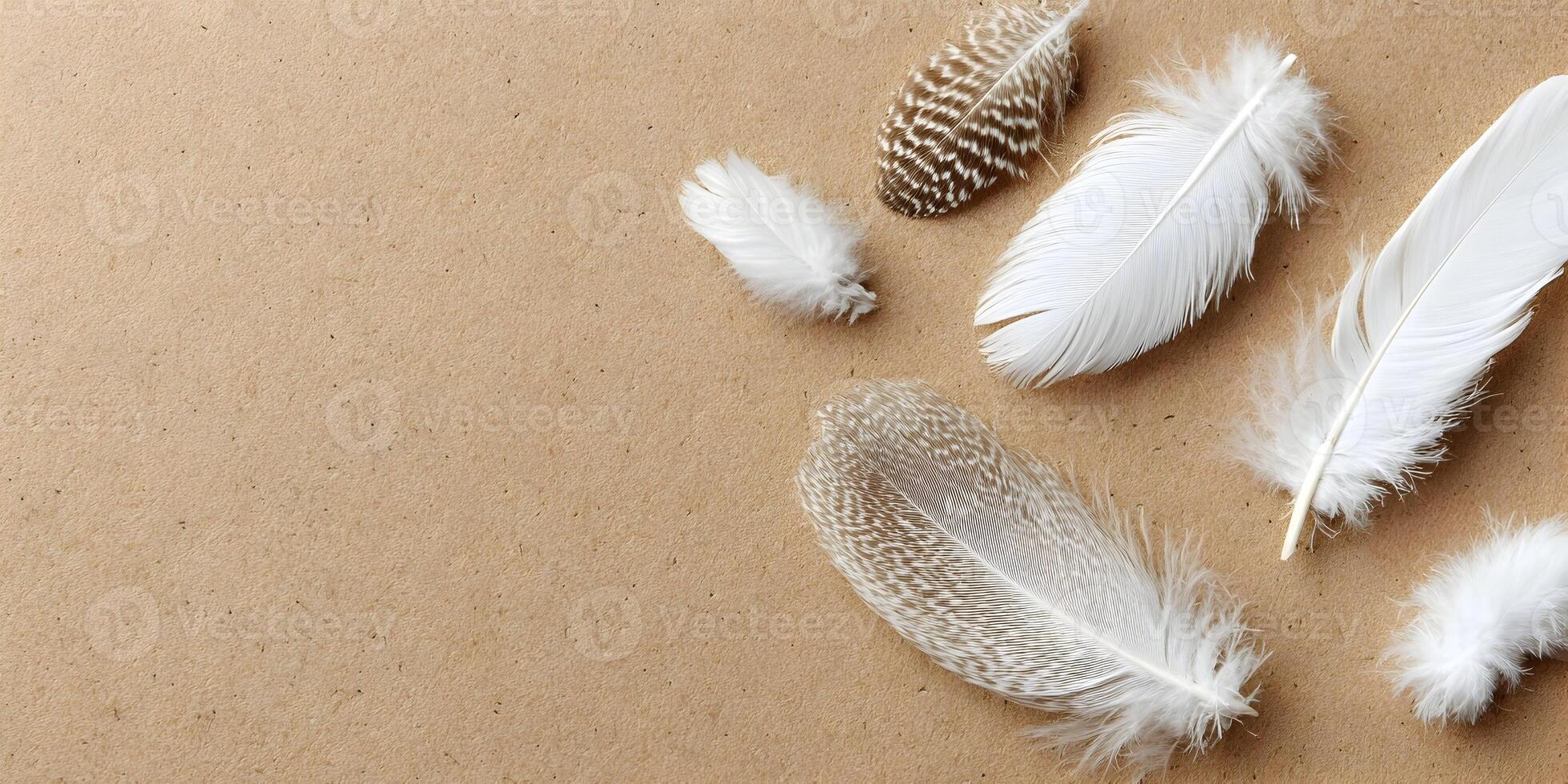 Brown Background with White and Brown Feathers Soft Fluffy Light Texture photo