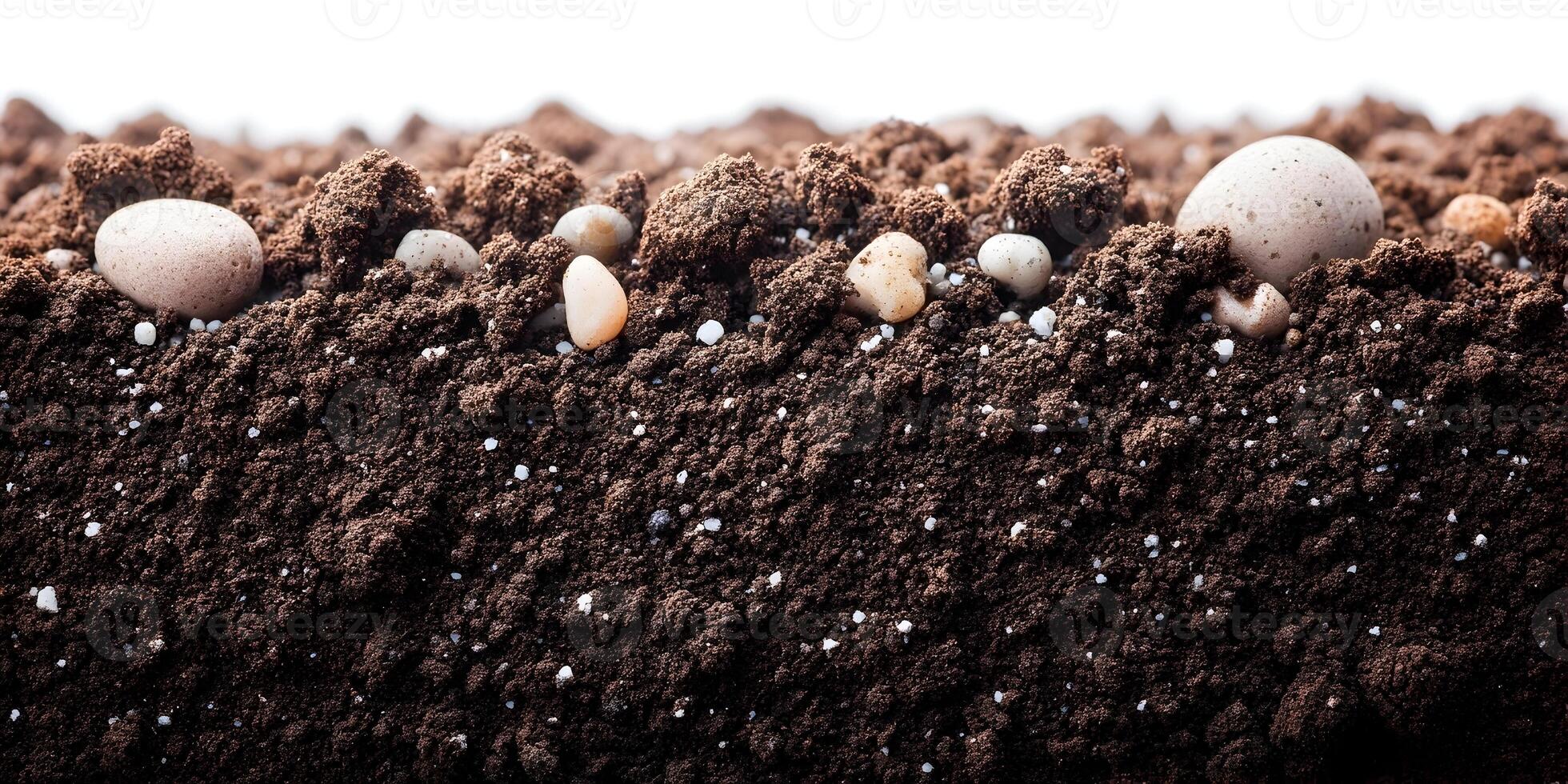 Dark Brown Soil Texture with Small Stones and White Granules photo