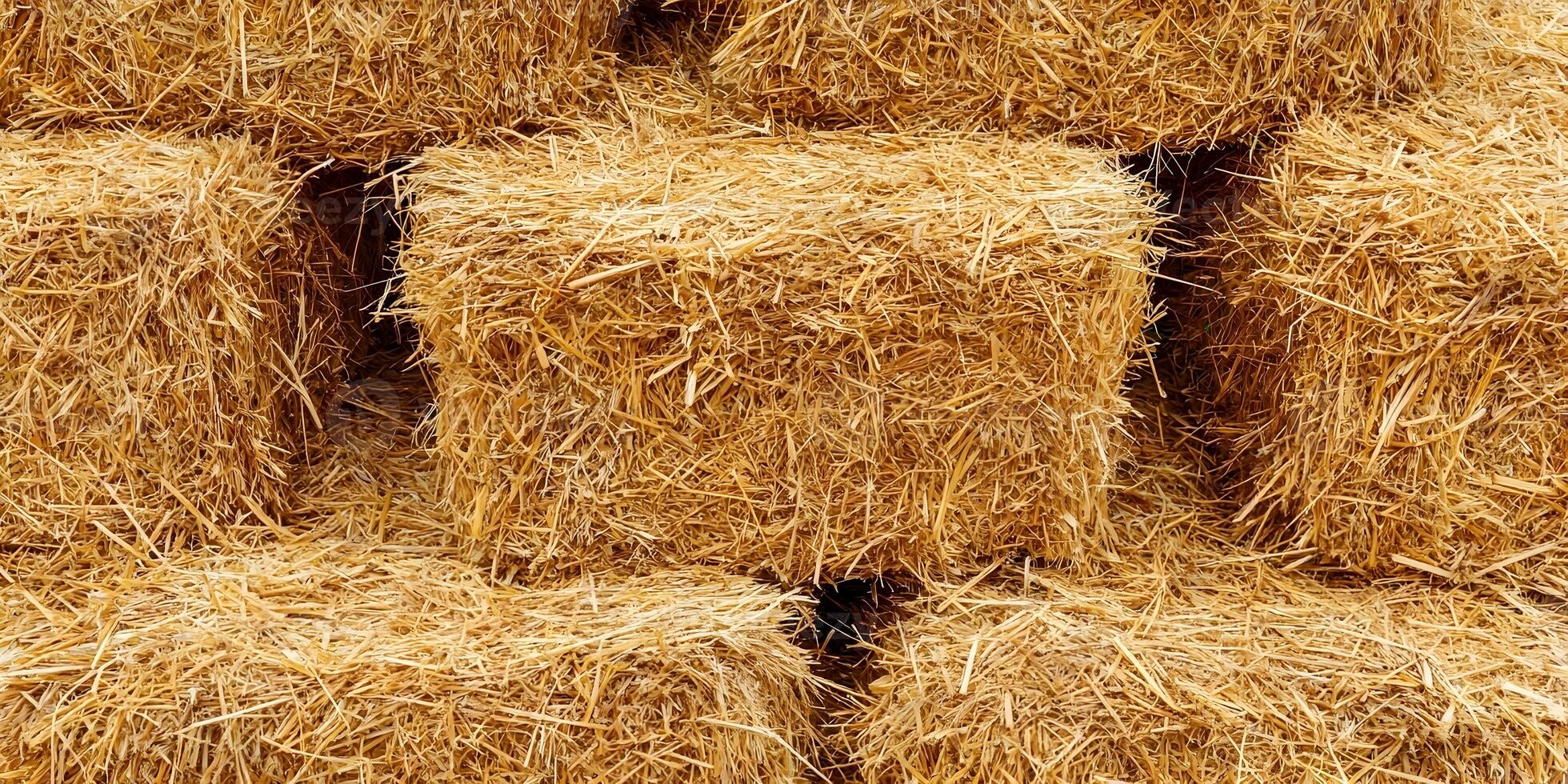 Square Straw Bales Stack Detailed Texture Rural Agriculture Hay Golden photo