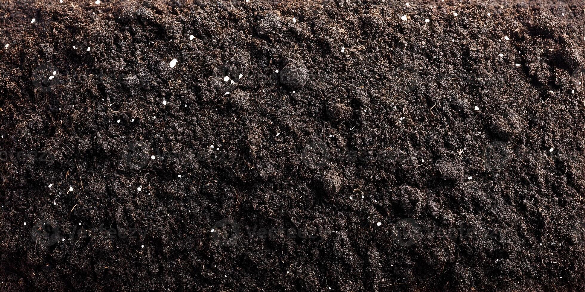 Dark Brown Soil Texture Background with White Granules photo