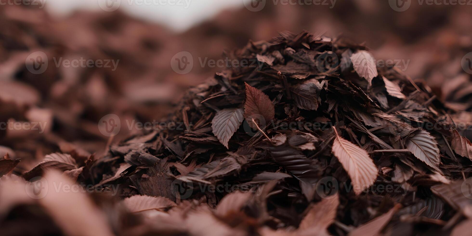 Dark Brown Autumn Leaves Pile Closeup Photography photo