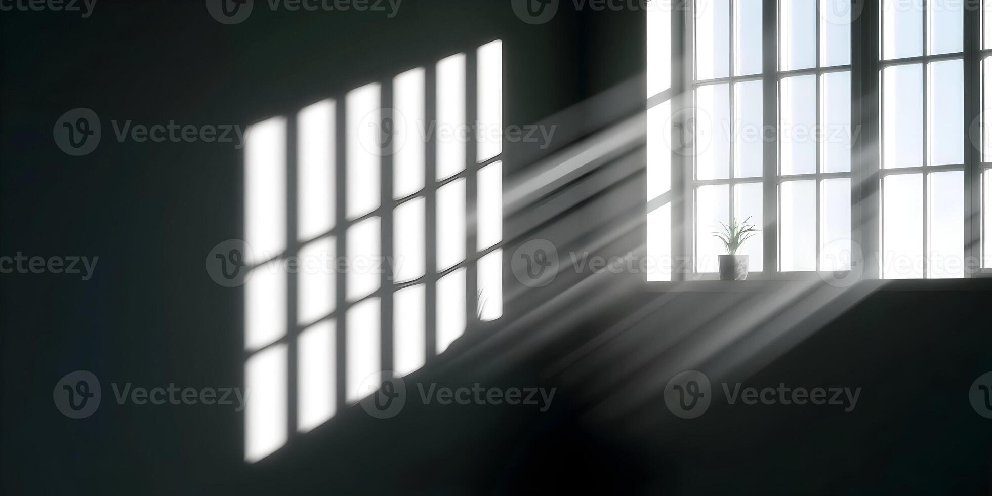 Sunbeams Through Window Plant Shadow Interior Room Sunlight photo