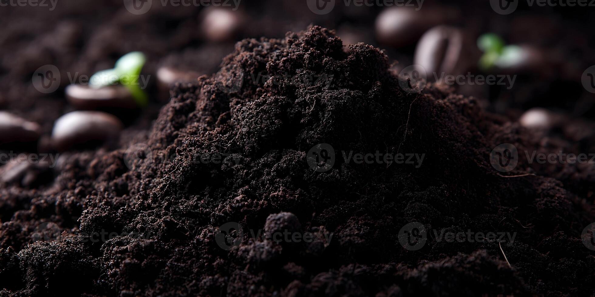 Dark Brown Soil Ground Coffee Beans Seedlings Close Up photo