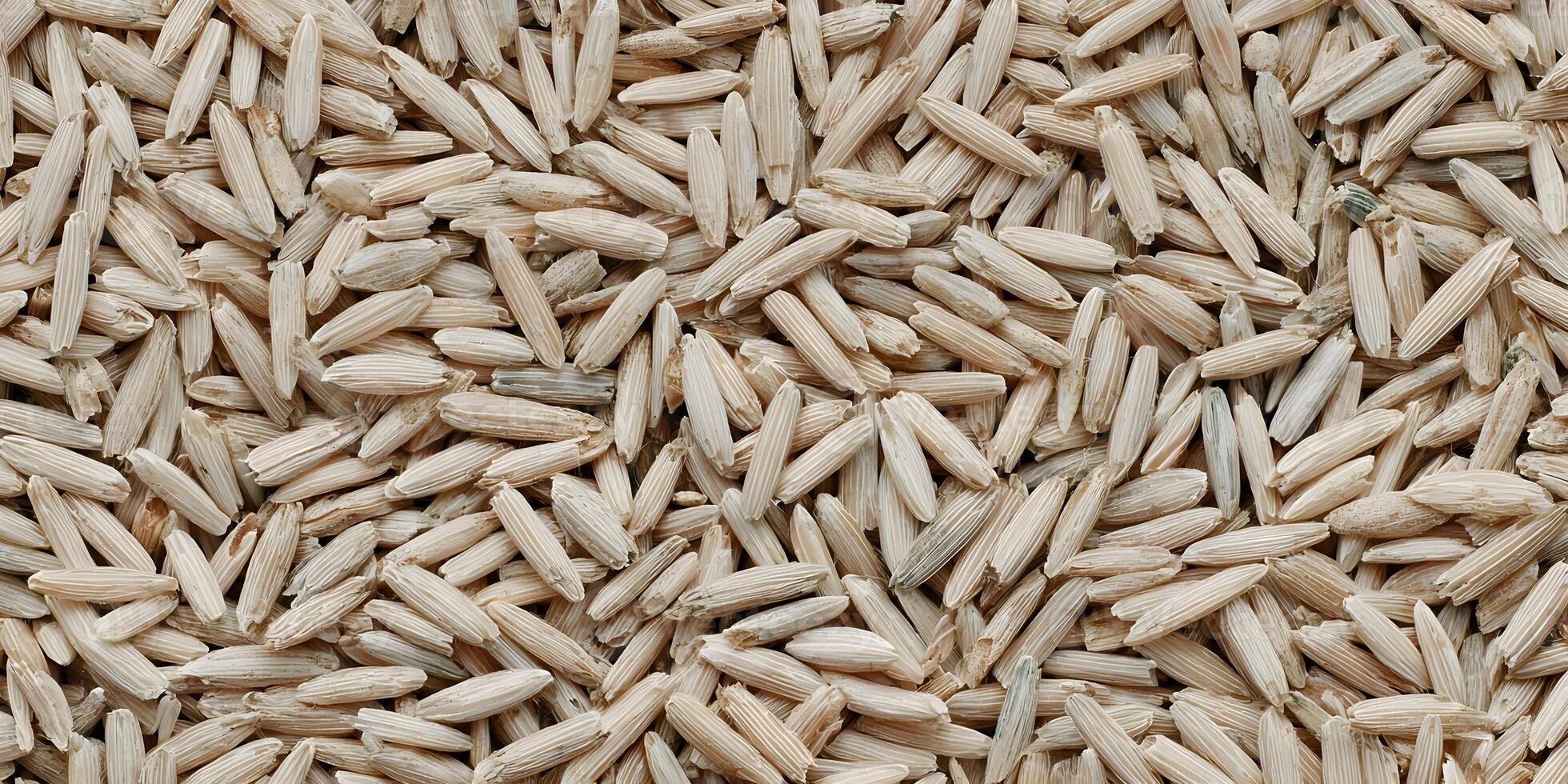 Closeup of Light Brown Dried Zinia Seeds Texture Background photo
